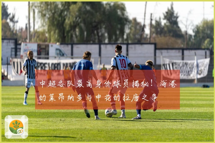 中超各队最高身价球员揭秘！海港的莱昂纳多与申花的拉唐之争
